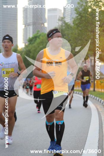3600_288758 | Run