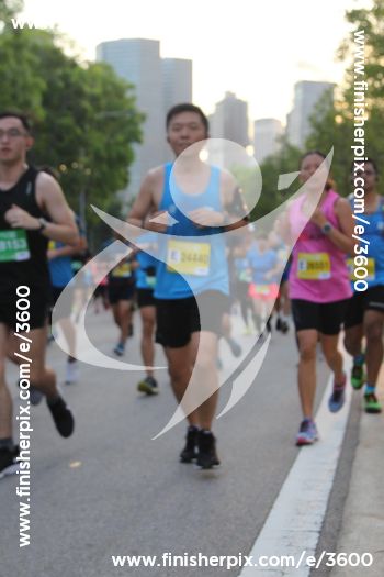 3600_289178 | Run