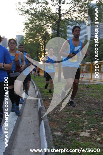 3600_289591 | Run
