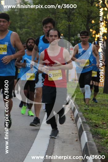3600_289732 | Run
