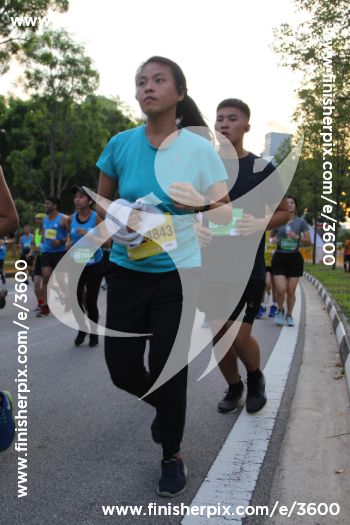 3600_289882 | Run