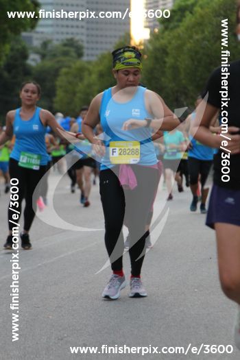 3600_290348 | Run