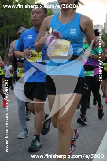 3600_290595 | Run