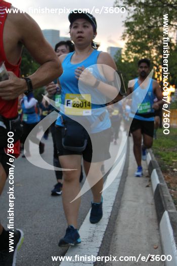 3600_290815 | Run