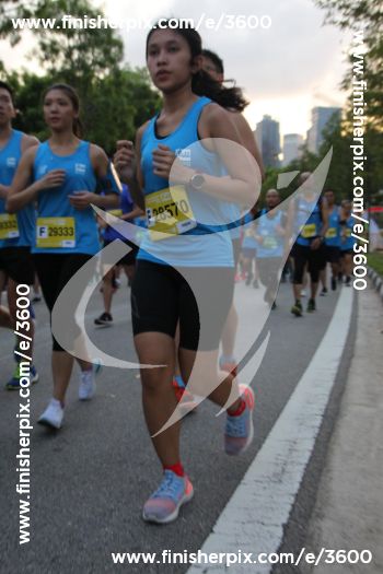 3600_291279 | Run