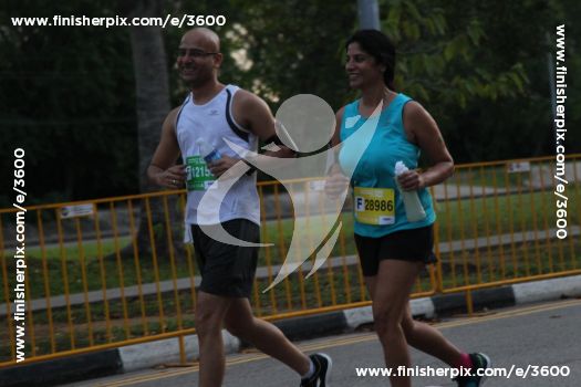 3600_291690 | Run