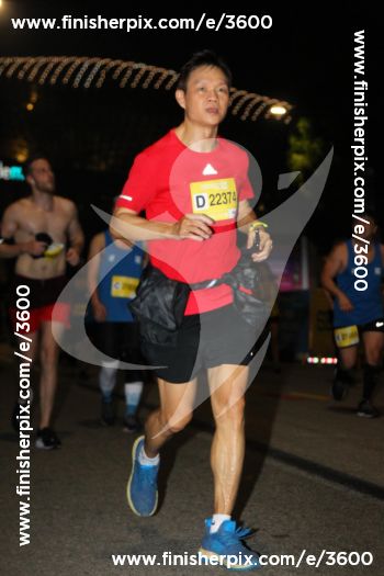 3600_294946 | Run