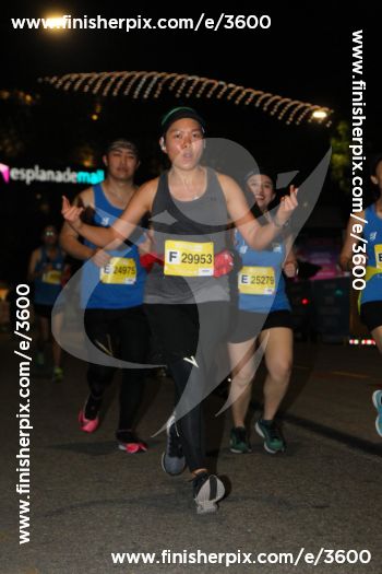 3600_295913 | Run