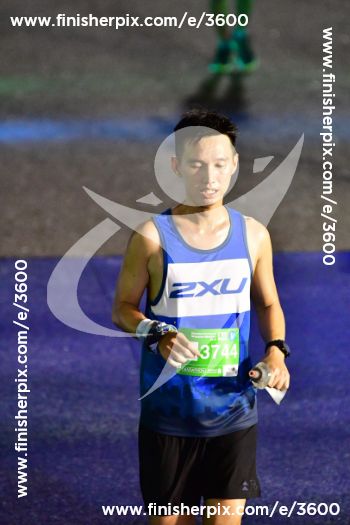 3600_308914 | Run
