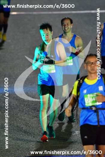 3600_311194 | Run