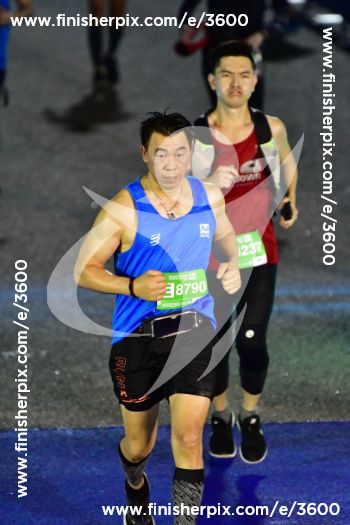 3600_312754 | Run