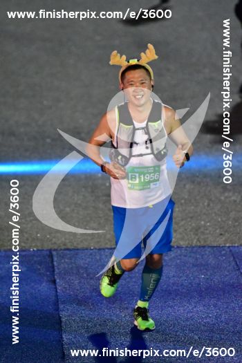 3600_313079 | Run