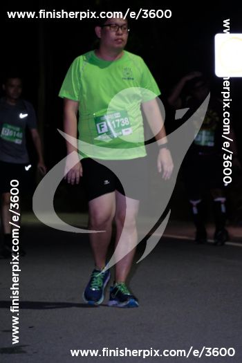 3600_317814 | Run