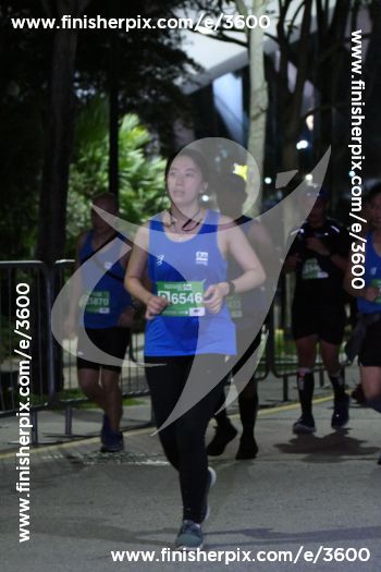 3600_318698 | Run