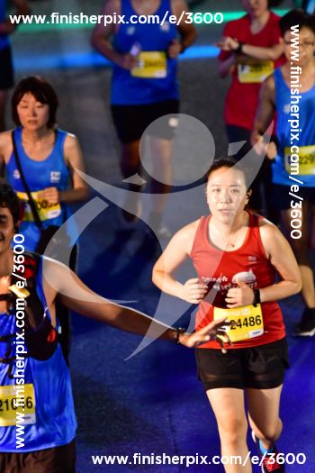 3600_327441 | Run