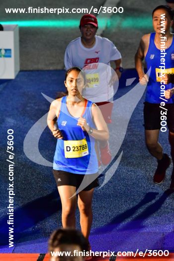 3600_330565 | Run