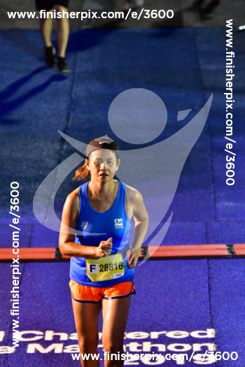 3600_330626 | Run