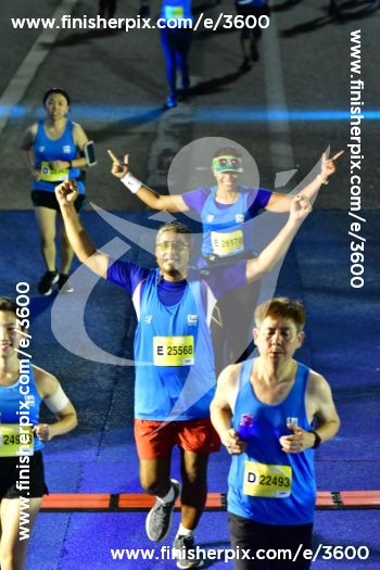 3600_331082 | Run