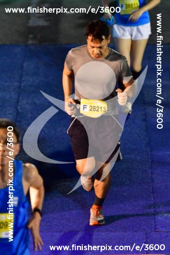 3600_331252 | Run