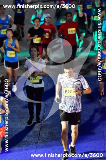 3600_332988 | Run