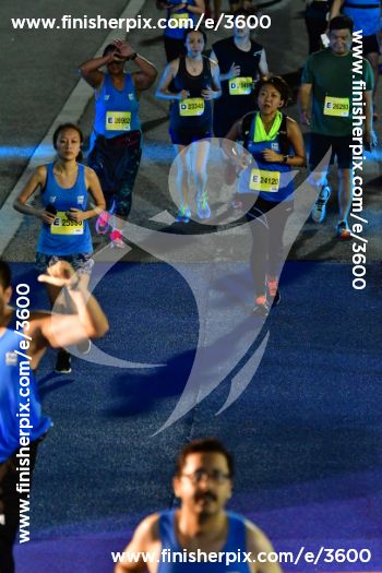 3600_333359 | Run