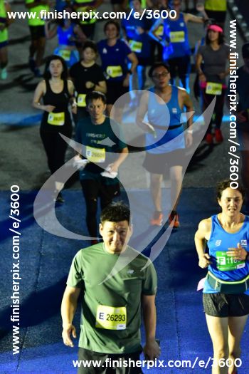 3600_333414 | Run
