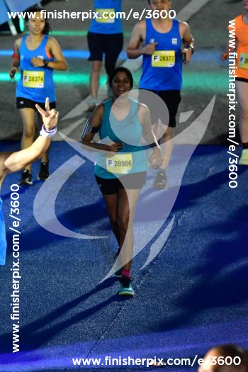 3600_335990 | Run