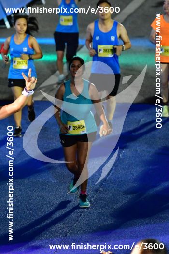 3600_335991 | Run