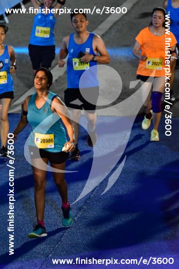 3600_335993 | Run