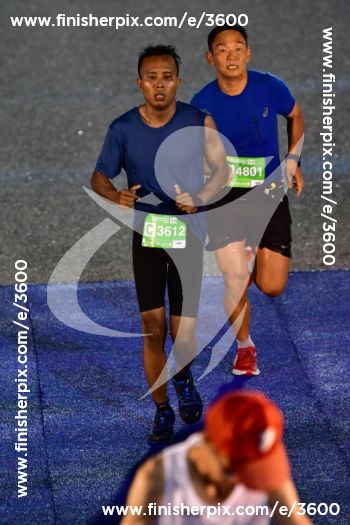3600_338434 | Run