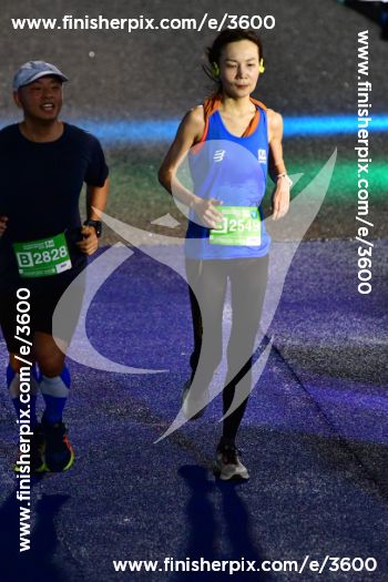 3600_338788 | Run
