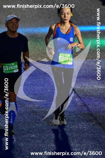 3600_338789 | Run