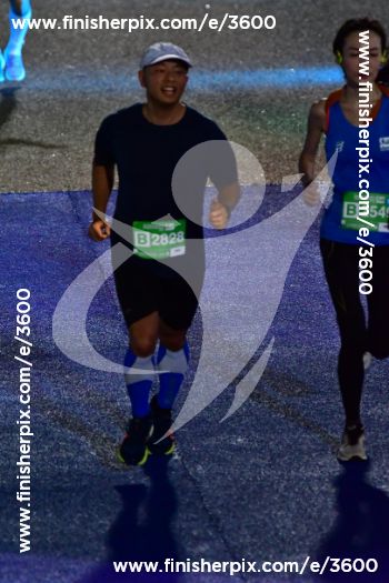 3600_338791 | Run