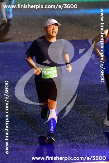 3600_338795 | Run