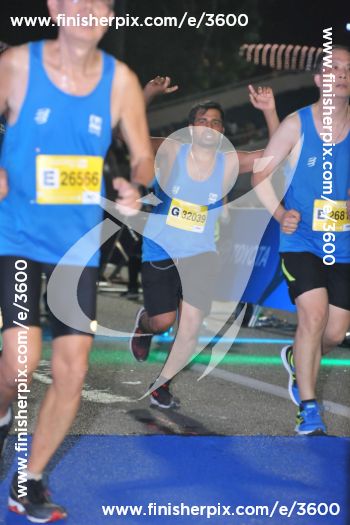 3600_353167 | Run