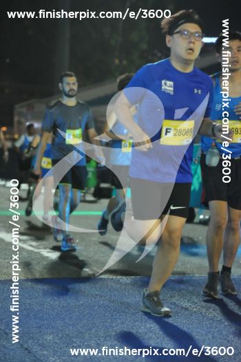 3600_355619 | Run