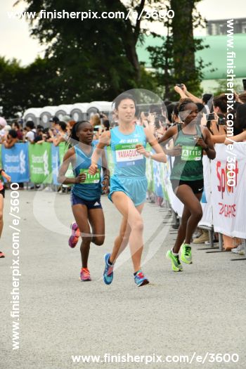 3600_359692 | Run