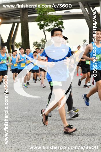 3600_362819 | Run