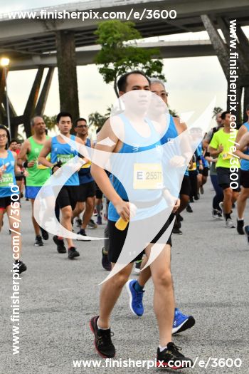 3600_362846 | Run