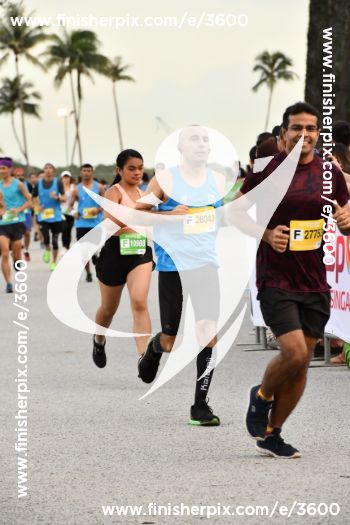 3600_363018 | Run