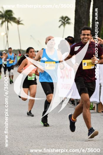 3600_363019 | Run