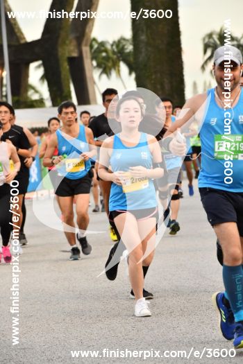 3600_363113 | Run