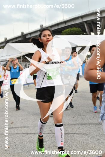 3600_363646 | Run