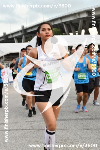 3600_363648 | Run