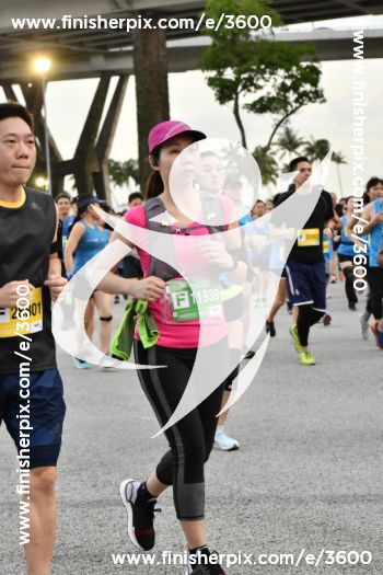 3600_363992 | Run