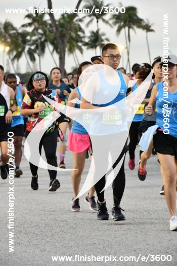 3600_364308 | Run