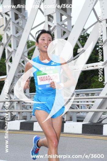 3600_377726 | Run