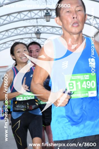 3600_378113 | Run