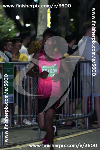 3600_391907 | Run