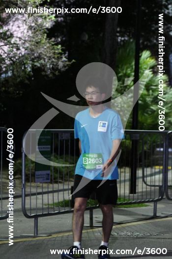 3600_396511 | Run